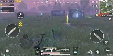 和平精英新版本爆料最新,全新内容与玩法大曝光！